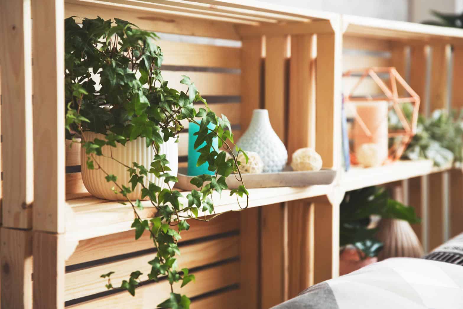 2. Cottagecore - rafturi din lemn, plante, decorațiuni